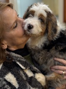 That new puppy can be a challenge if you don't prepare in advance and do your homework first.