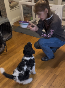 Why is feeding time so important for your puppy